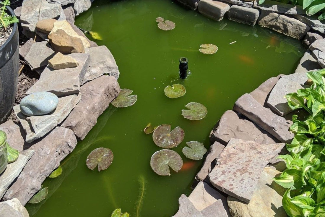 Black Bear Mountain Stone - Stone Veneer - Field Stone Mossy Creek