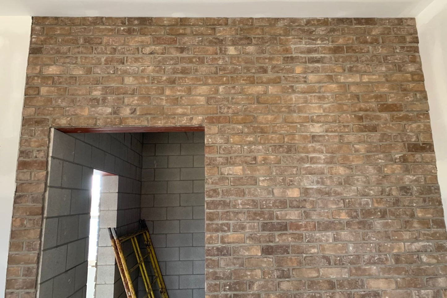 Black Bear Mountain Stone - Brick Veneer - Charleston