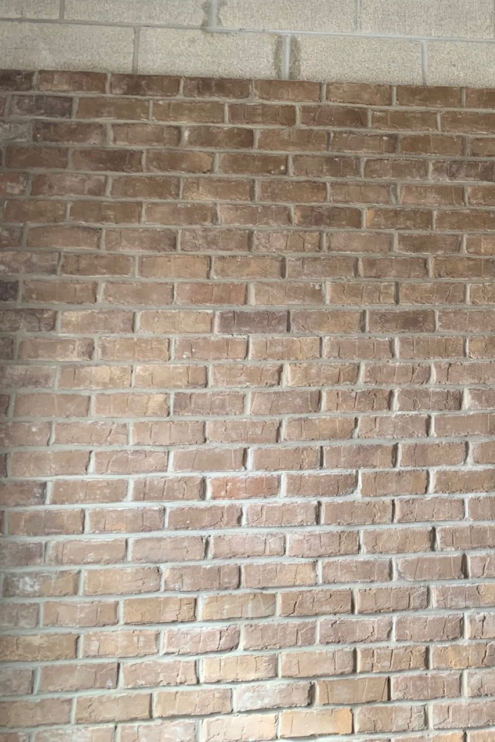 Black Bear Mountain Stone - Brick Veneer - Charleston