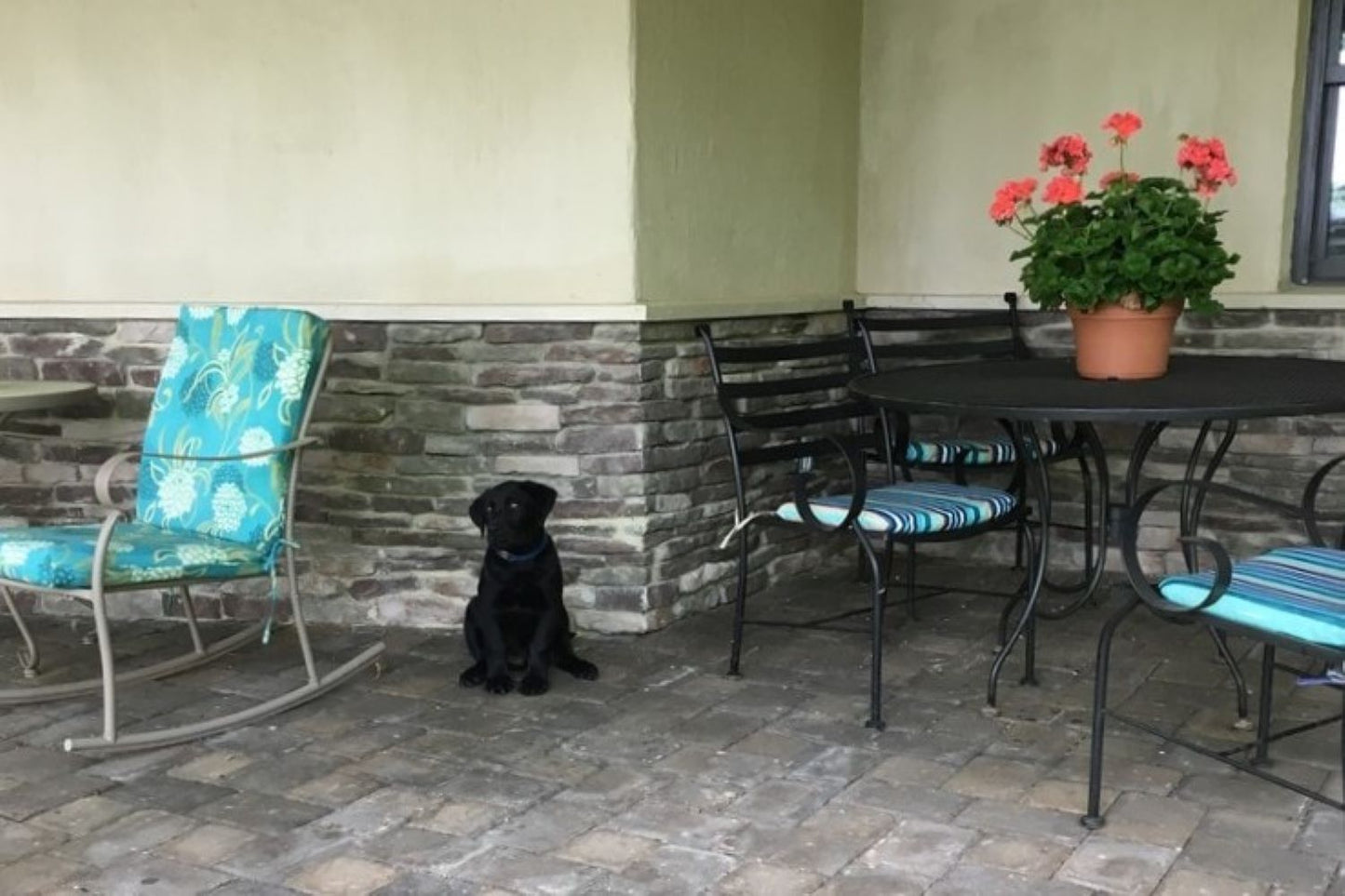 Black Bear Mountain Stone - Stone Veneer - Ledge Stone Mossy Creek