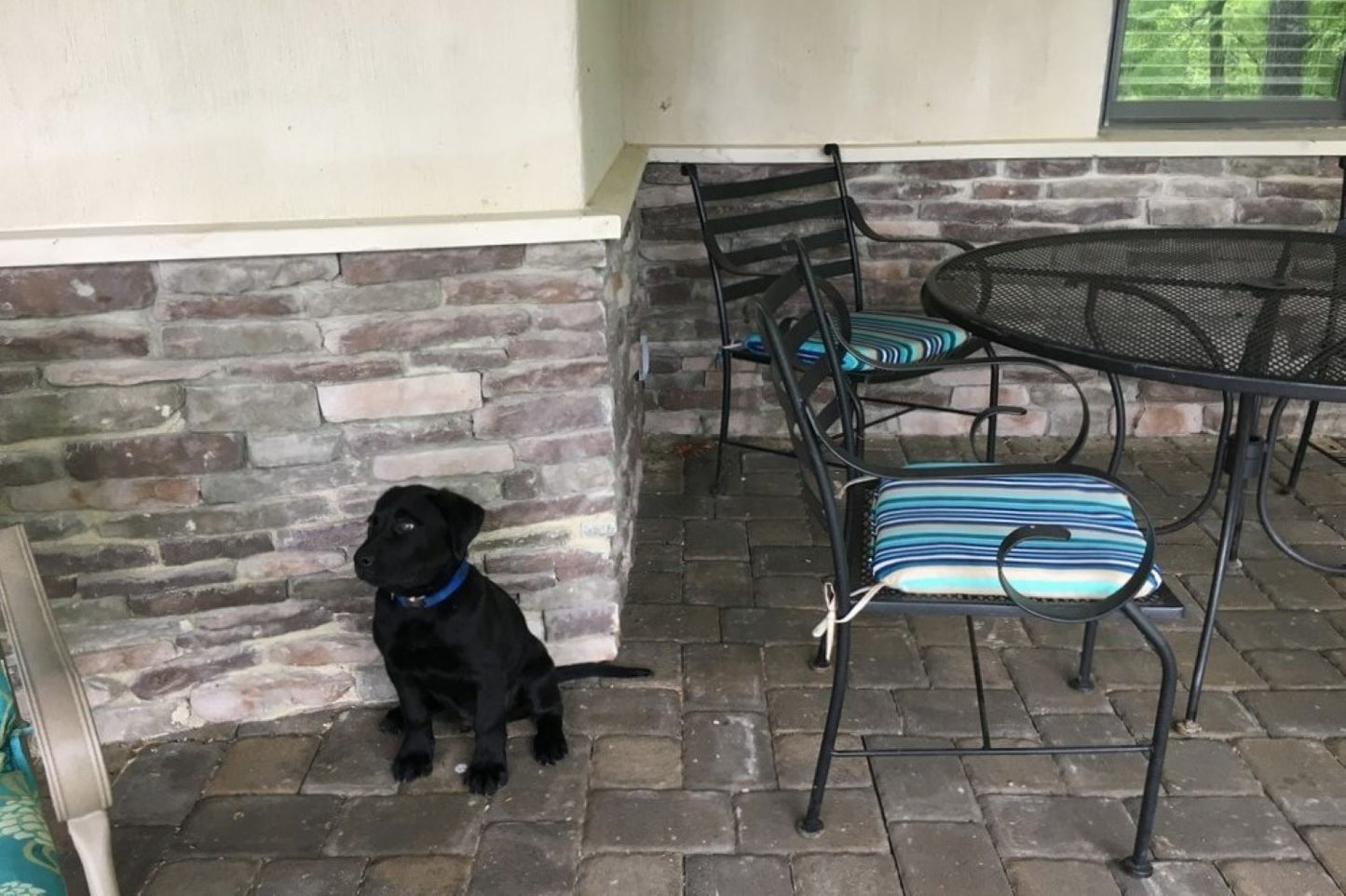 Black Bear Mountain Stone - Stone Veneer - Ledge Stone Mossy Creek