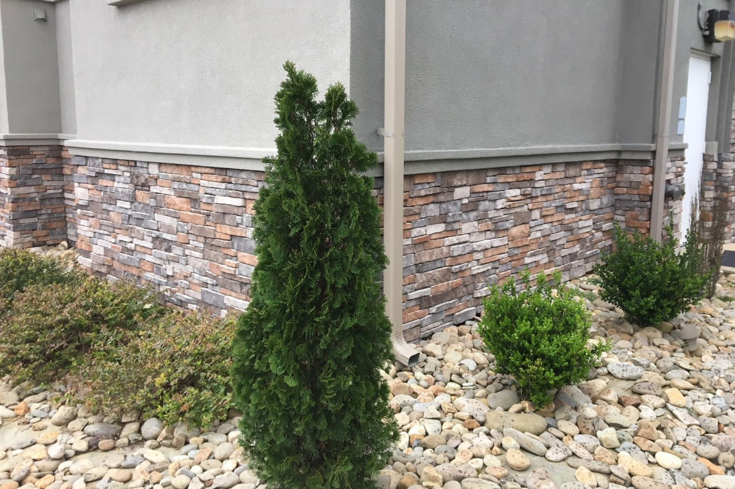 Stack Stone - Ozark