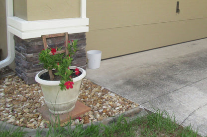 Black Bear Mountain Stone - Stone Veneer - Ledge Stone Midnight