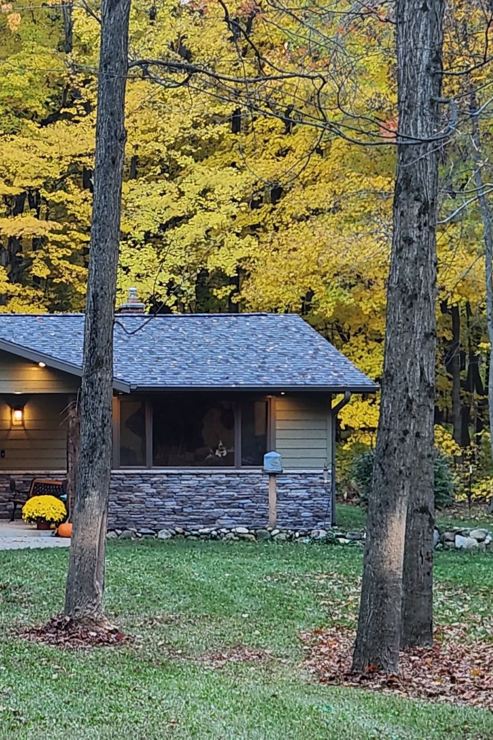 Black Bear Mountain Stone - Stone Veneer - Ledge Stone Mountain Mist