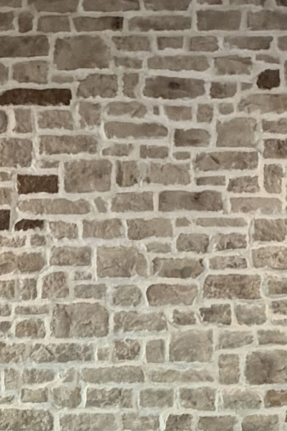 Black Bear Mountain Stone - Stone Veneer - Lime Stone Austin White