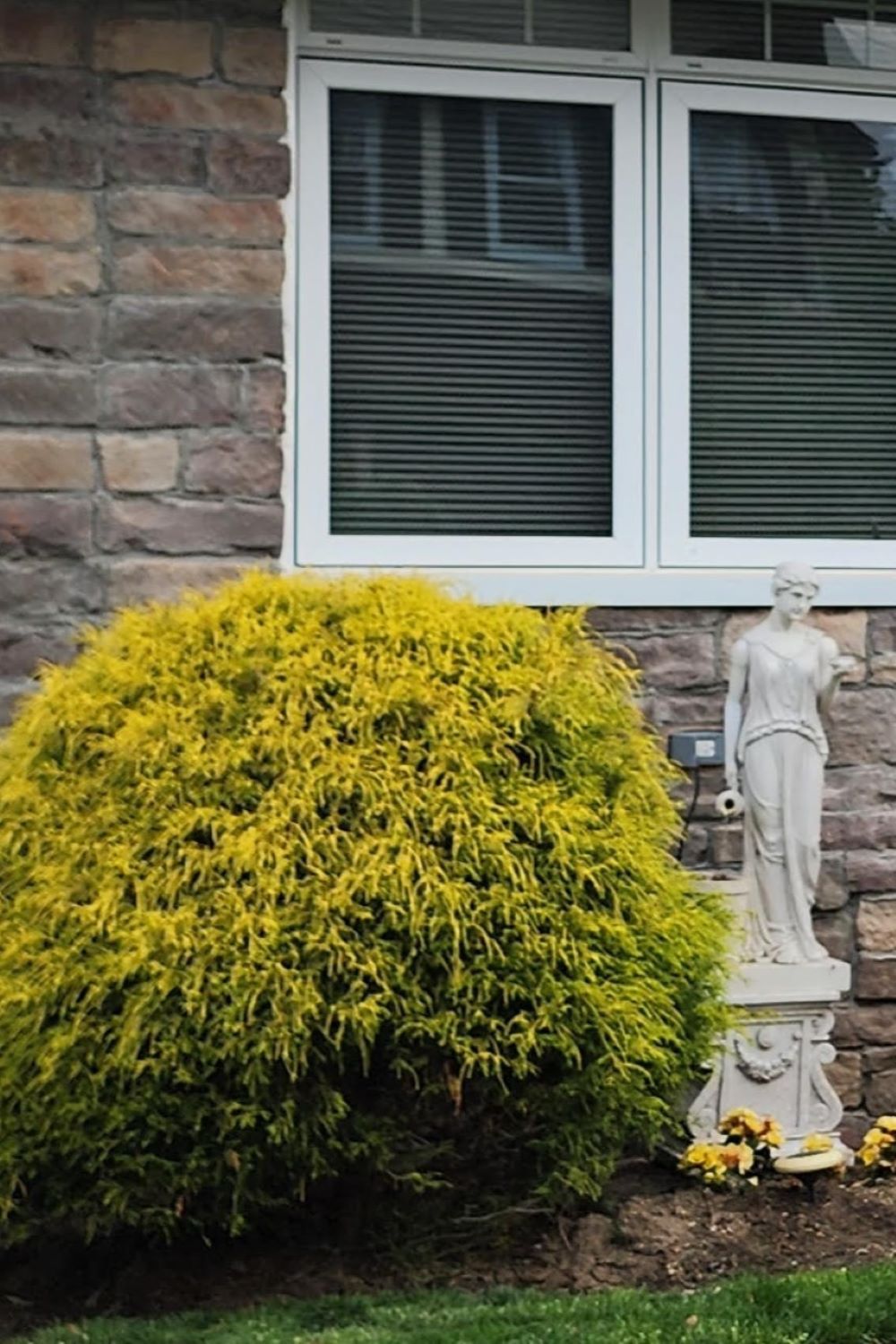 Black Bear Mountain Stone - Stone Veneer - Lime Stone Mossy Creek