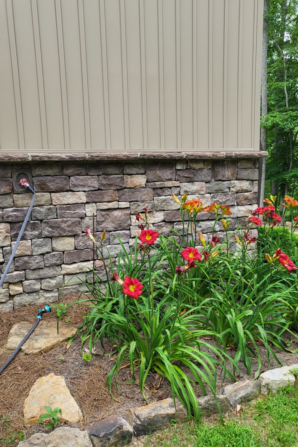 Black Bear Mountain Stone - Stone Veneer - Lime Stone Mossy Creek