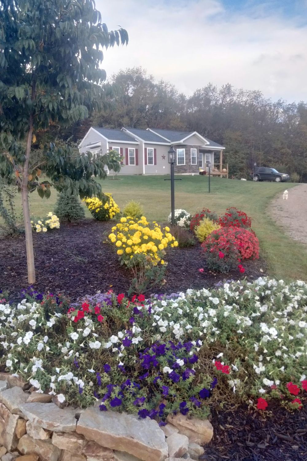 Black Bear Mountain Stone - Stone Veneer - Stack Stone Midnight